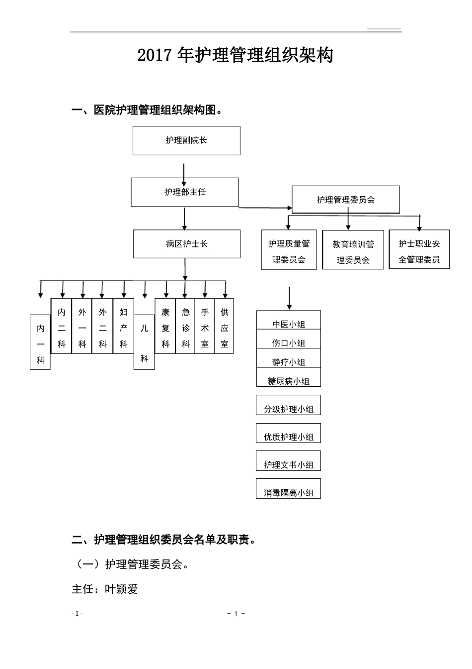 附护理管理组织架构_第1页