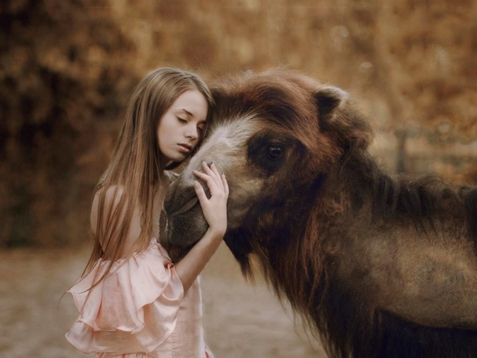 珍珠鸟晒课最终版_第2页