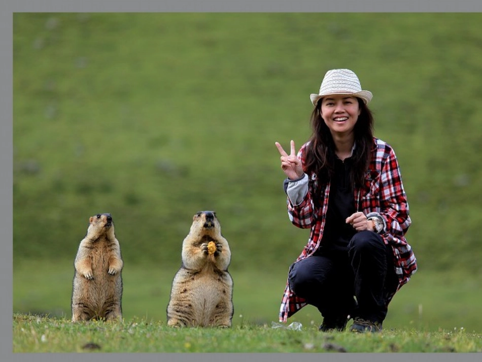 珍珠鸟晒课最终版_第3页
