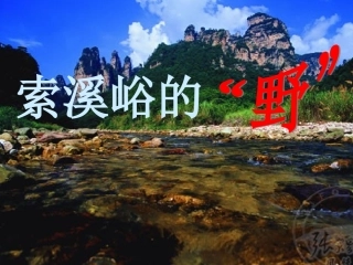 索溪峪的野课件