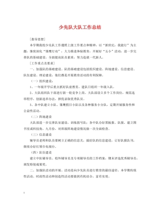 少先队大队工作总结