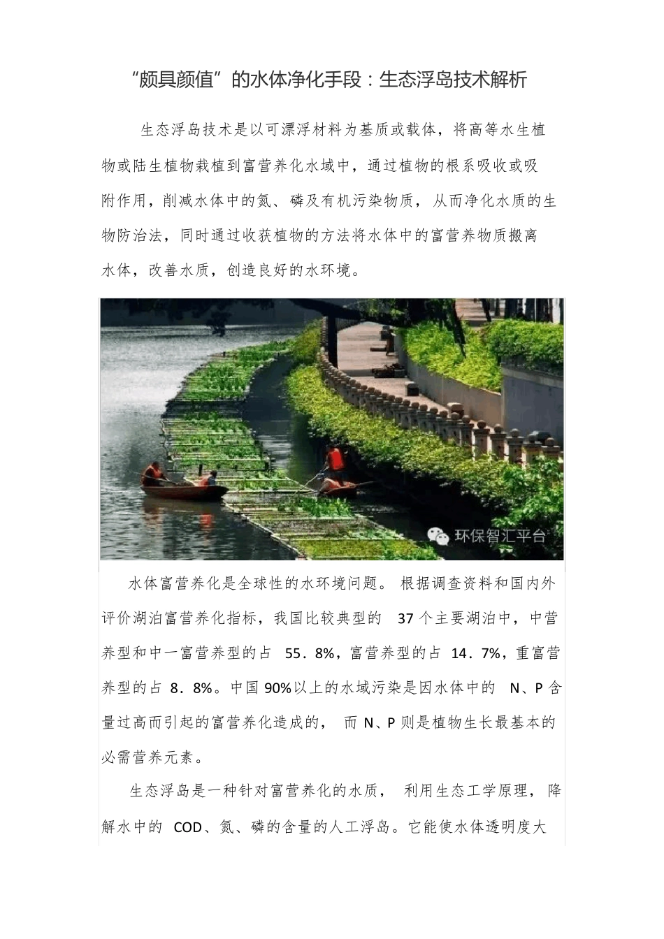 人工浮岛工艺做法_第1页