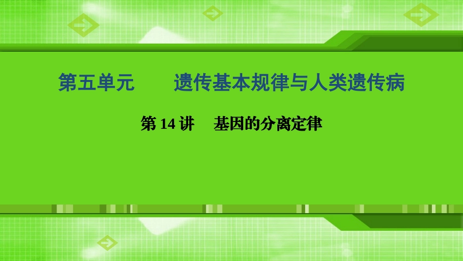 第14讲基因的分离定律_第1页