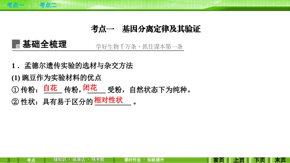 第14讲基因的分离定律_第3页