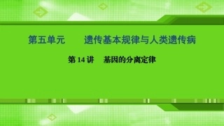 第14讲基因的分离定律