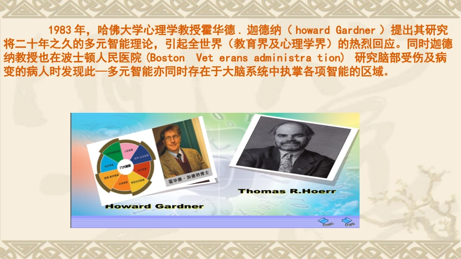 多元智能-培训版_第3页