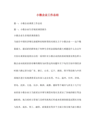 小微企业工作总结