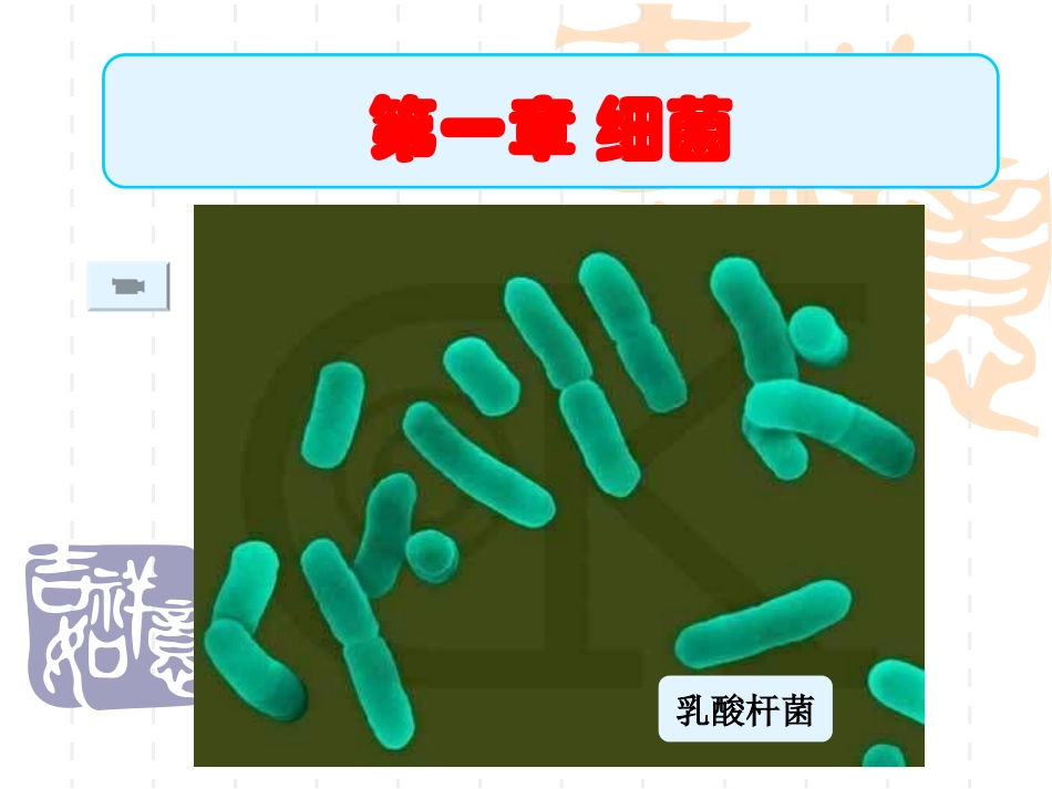 细菌（使用版）_第1页