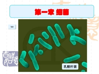 细菌（使用版）