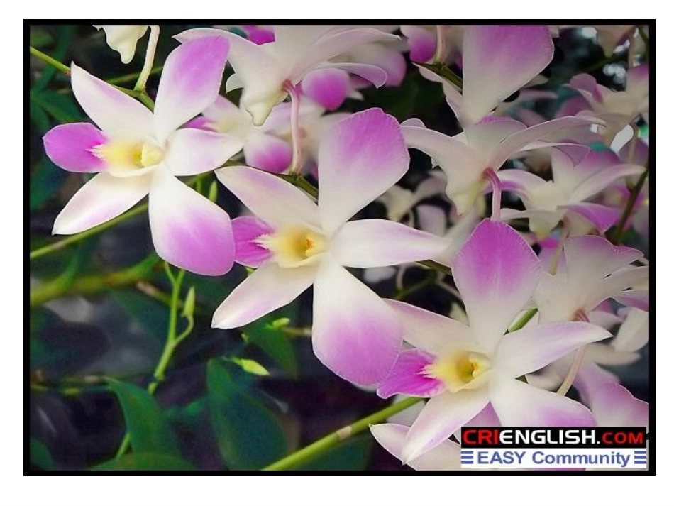 人教版化学选修三第二章第二节-分子的立体构型(共87张PPT)_第2页