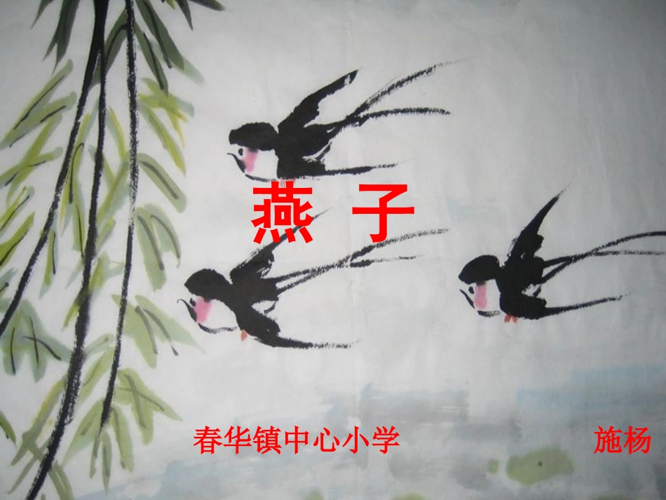 施杨《燕子》PPT课件_第1页