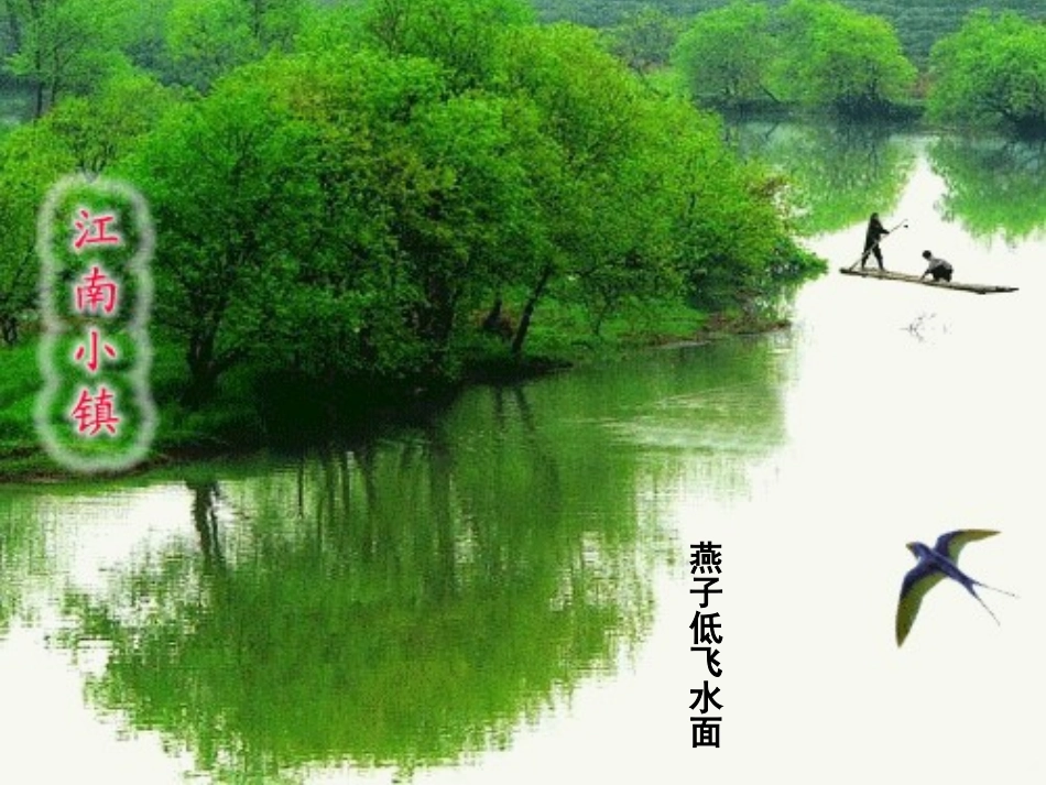 施杨《燕子》PPT课件_第3页