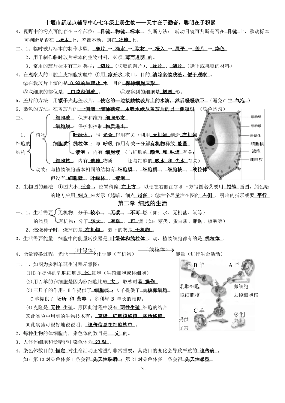 人教版七年级上册生物知识点归纳_第3页