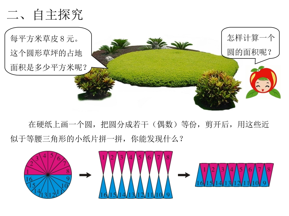 第4课时圆的面积（1）_第3页
