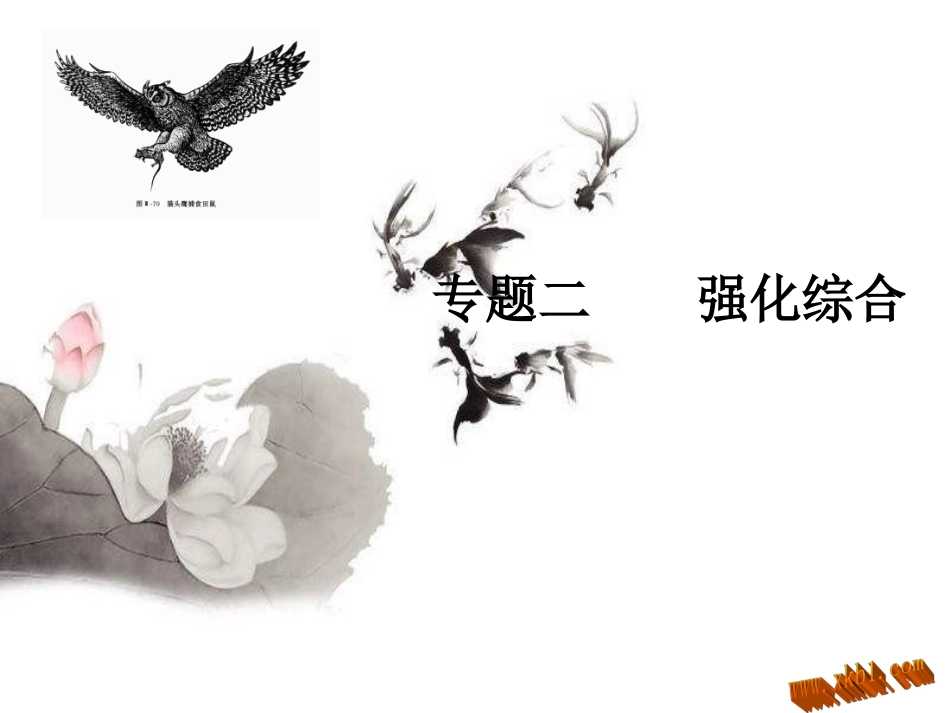 中考专题复习：强化综合_第1页