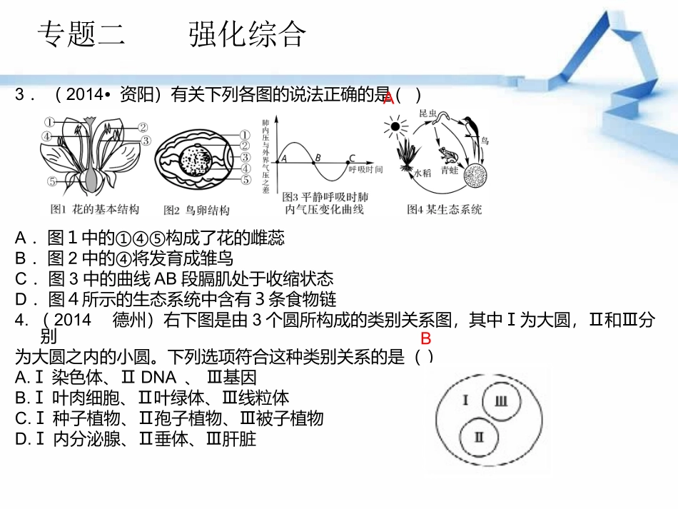 中考专题复习：强化综合_第3页