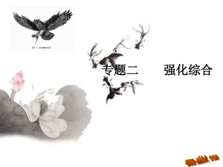 中考专题复习：强化综合