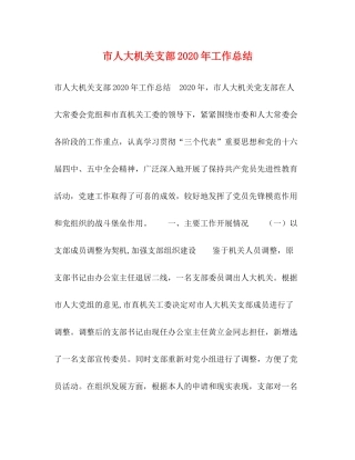 市人大机关支部年工作总结