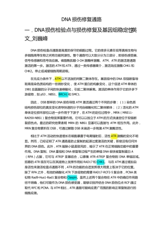 DNA损伤修复通路