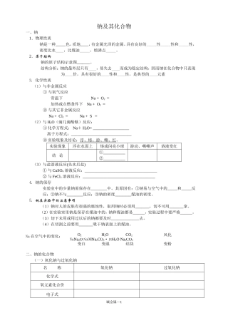钠及其化合物