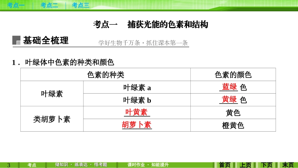 第9讲光合作用(1)_第3页