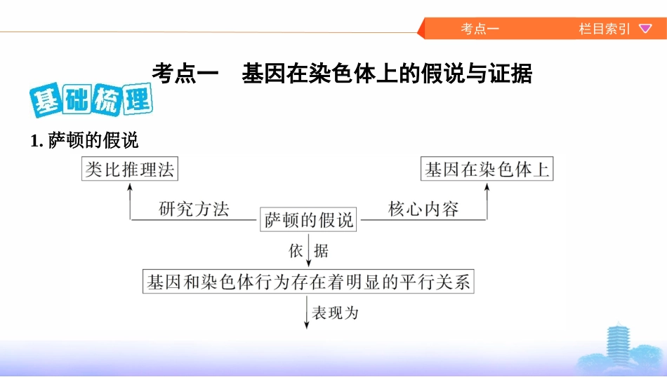 第15讲　基因在染色体上、伴性遗传_第2页