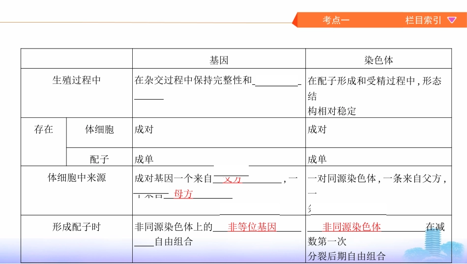 第15讲　基因在染色体上、伴性遗传_第3页