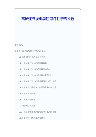 高炉煤气发电项目可行性研究报告