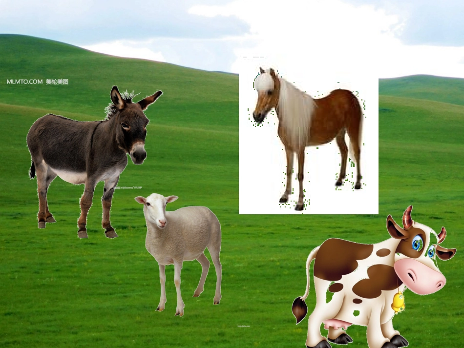 大班科学：动物的家_第2页