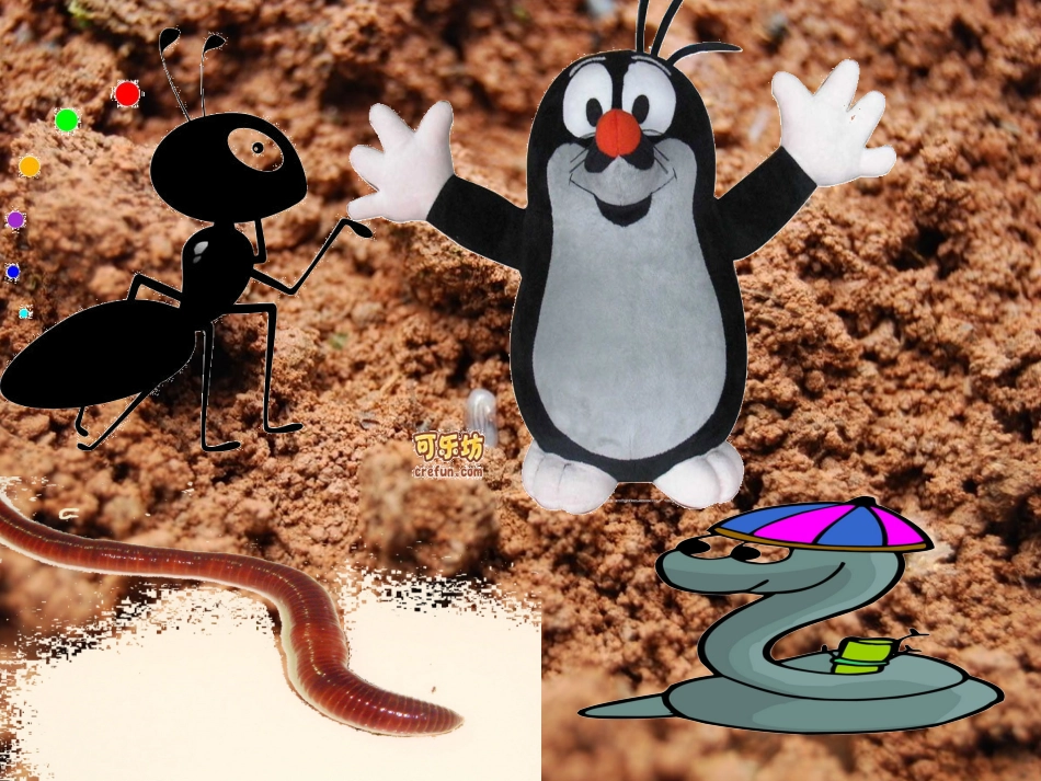 大班科学：动物的家_第3页