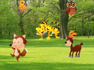 大班科学：动物的家