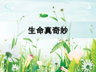 生命与健康常识