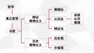 哲61人的认识从何而来
