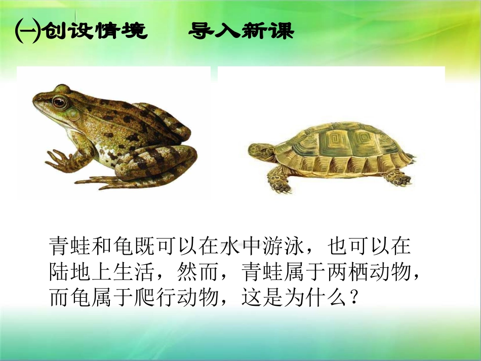 第五节两栖动物和爬行动物_第2页