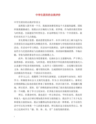 生团员的自我评价 