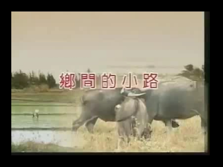四下第六单元单元导读_第2页