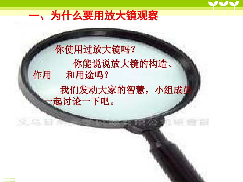 -《放大镜》_第2页