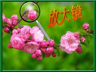 -《放大镜》