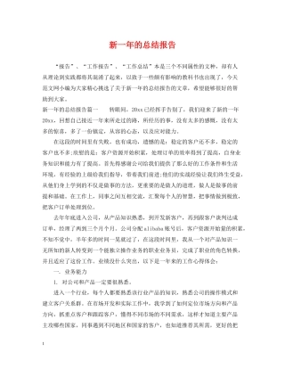 新一年的总结报告