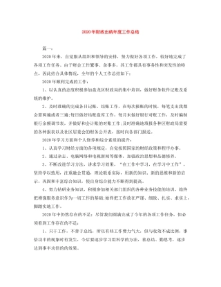 2020年财政出纳年度工作总结