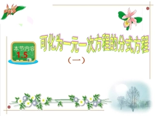可化为一元一次方程的分式方程（第课时）