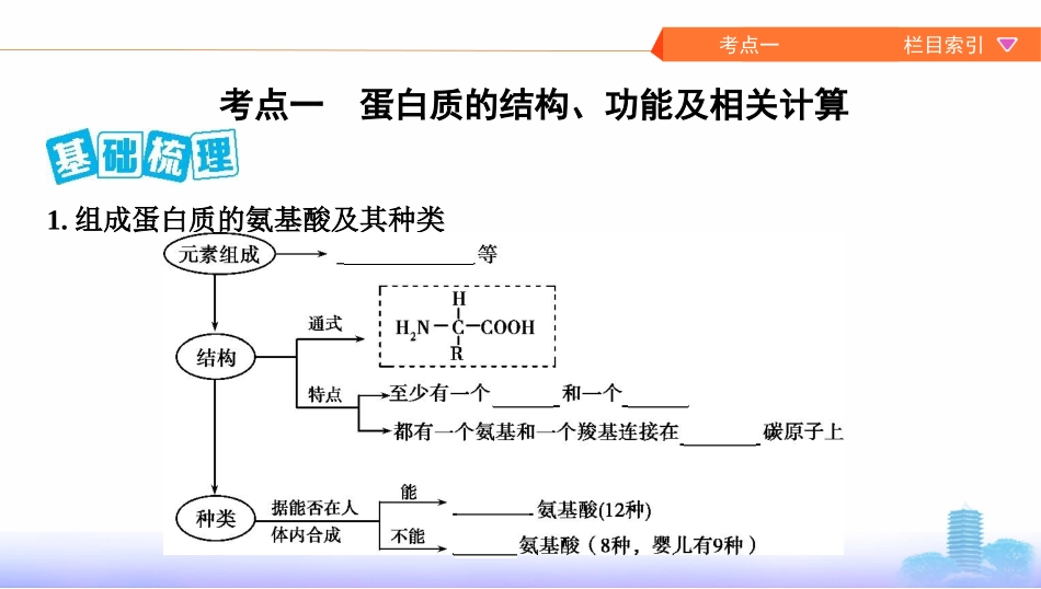 第3讲　蛋白质、核酸、糖类和脂质_第2页