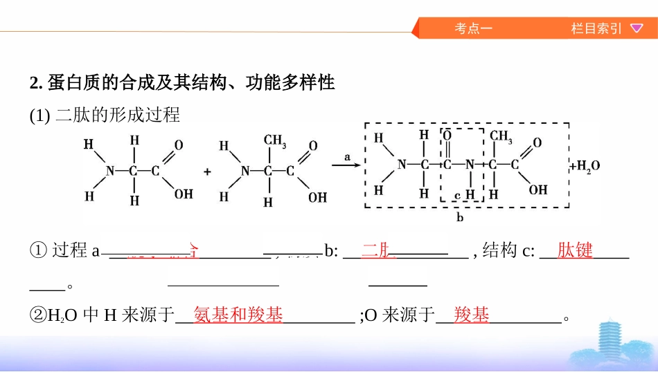 第3讲　蛋白质、核酸、糖类和脂质_第3页