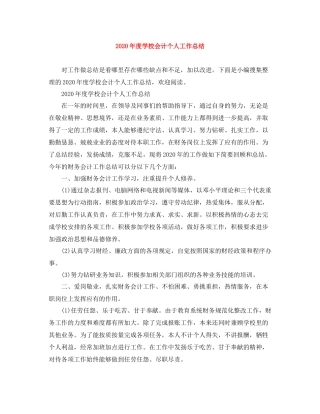 2020年度学校会计个人工作总结