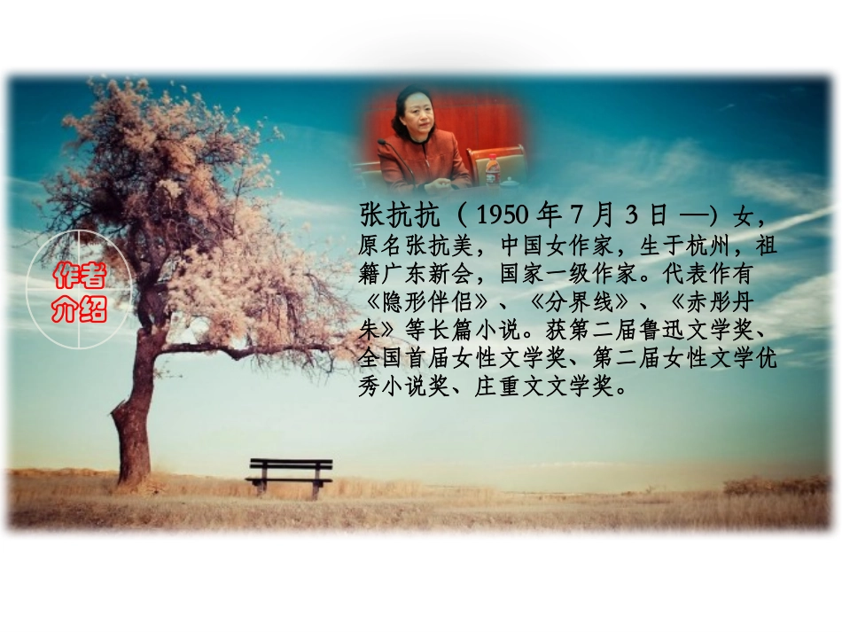 《窗前的树》_第2页