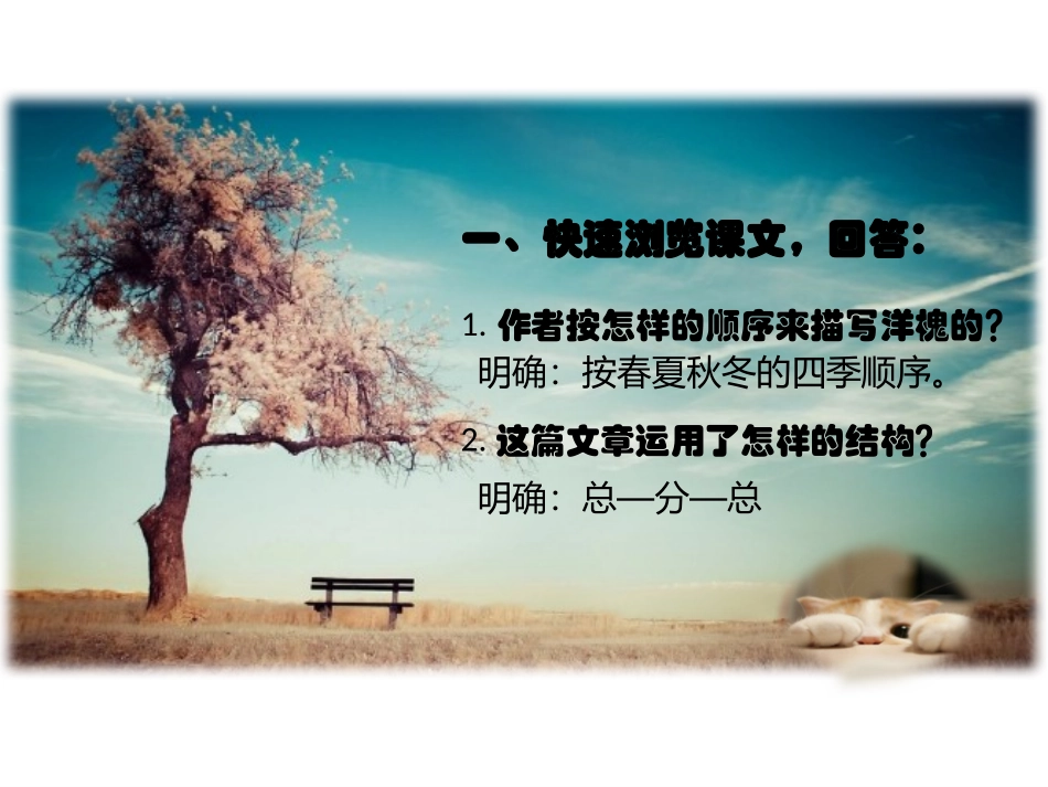 《窗前的树》_第3页