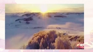 坚持国家利益至上