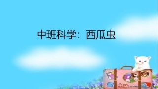 中班科学西瓜虫