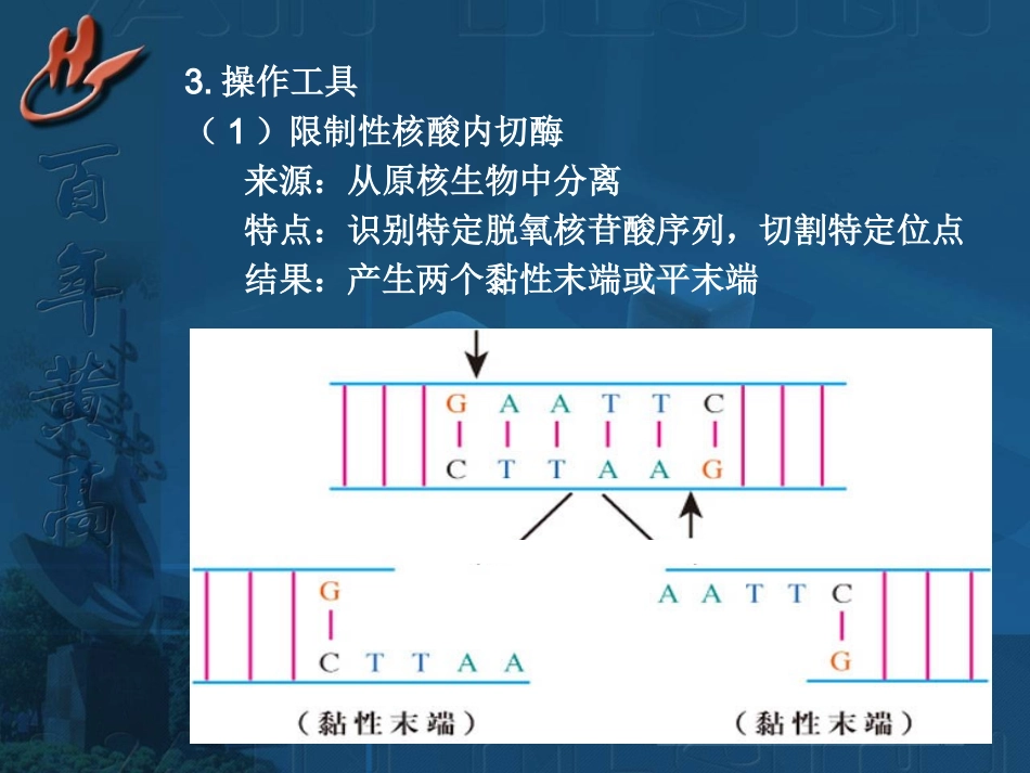 基因工程与转基因的安全性和生物武器_第3页