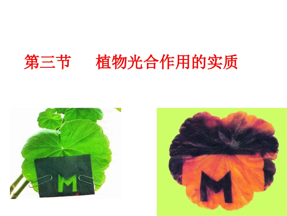Ppt光合作用实质 (2)_第1页